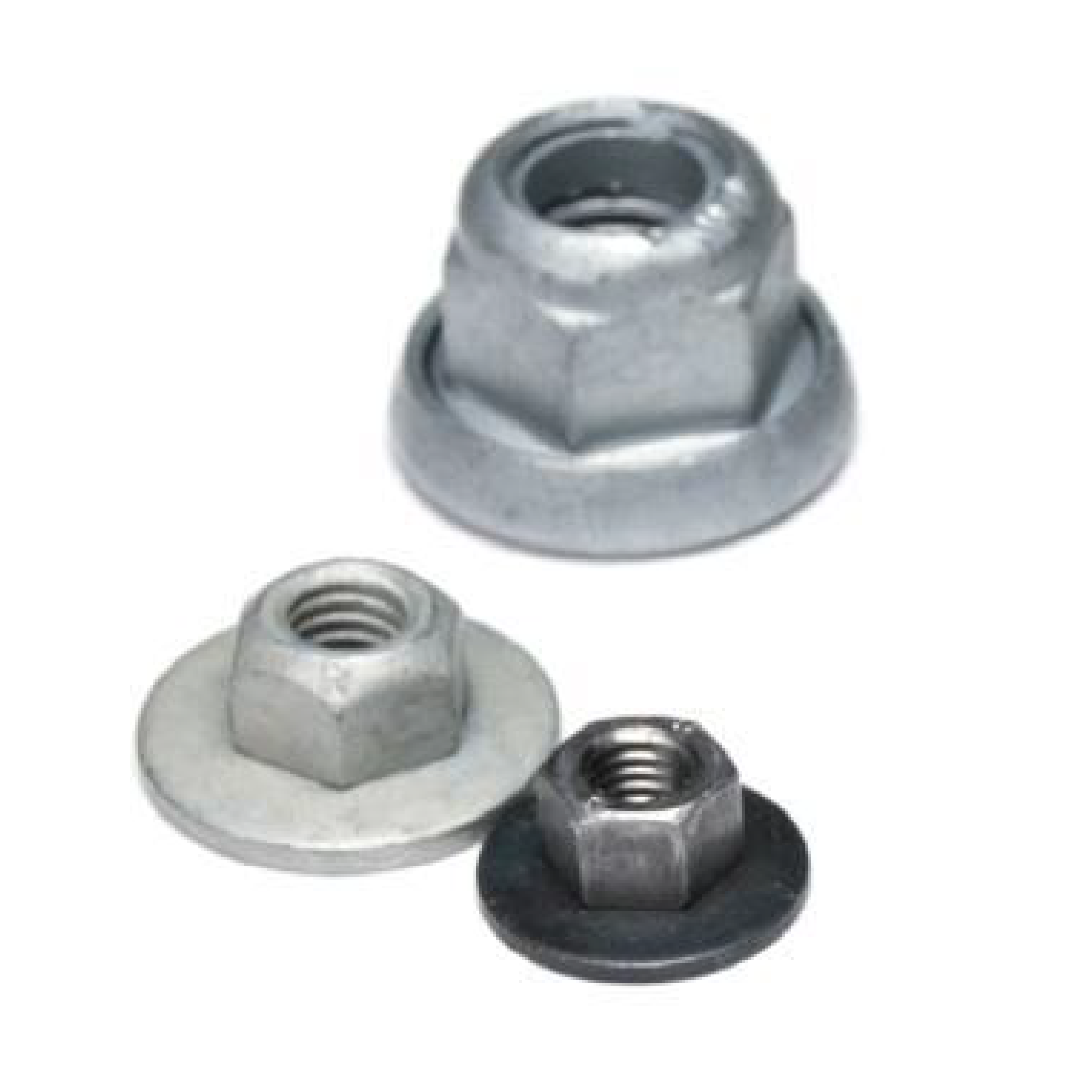 Clip nut assembly